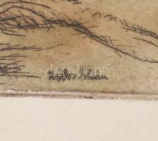 Zádor István (1882-1963): Halász. Színezett rézkarc, papír, jelzett a karcon. Dekoratív, üvegezett, ...