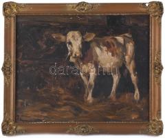 Olvashatatlan jelzéssel vagy jelzés nélkül: Boci. Olaj, karton. Hátoldalán töredékes akt rajz. Dekoratív fakeretben, 28×36 cm