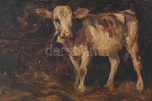 Olvashatatlan jelzéssel vagy jelzés nélkül: Boci. Olaj, karton. Hátoldalán töredékes akt rajz. Dekor...