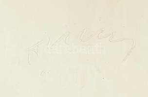 Hiripi Zsuzsanna: Kerámia fali lámpa, jelzett, hibátlan, d: 38 cm