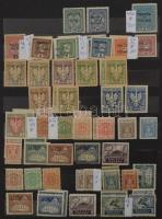 Lengyelország párhuzamosan gyűjtött postatiszta és bélyegzett gyűjtemény a kezdetektől az 1990-es év...