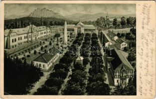 1933 Ránkfüred, Rank-Herlány, Ránkherlány, Rank Herlein, Herlany (Kassa, Kosice, Kaschau); Celkovy pohled. J. Bohácka / látkép / view (fa)