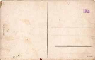 Divaca, Divacca (Küstenland); general view (worn corners)