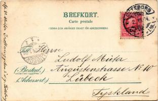 1904 Göteborg, Motiv fran Salutorget, Emil Stanbäcks, Theodor Petterson. Ol. Andreen / shops, market...