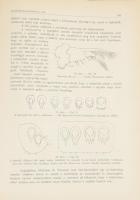 Archivum Balatonicum. 1926. I. évf. 2. Szerk. Csiki Ernő, Hankó Béla és Entz Géza. 273p. IV. tábla. ...