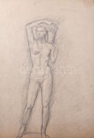 Farkas B jelzéssel: Női aktok és férfi akt. Ceruza, papír. Kétoldalas mű, hátoldala álló női akt, 47...