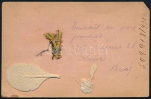 1917 Orosz frontról küldött tábori posta lap, növényekkel