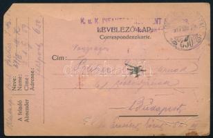 1917 Orosz frontról küldött tábori posta lap, növényekkel