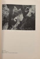 1937 Az American Photography c. magazin novemberi száma, benne magyar fotósok, pl Vadas Ernő, Vecsen...