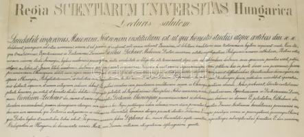 1874 Lechner Károly (1850-1922) orvos, elmegyógyász, egyetemi tanár, a Magyar Tudományos Akadémia le...