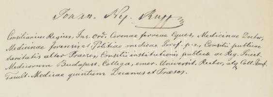 1874 Lechner Károly (1850-1922) orvos, elmegyógyász, egyetemi tanár, a Magyar Tudományos Akadémia le...