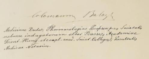 1874 Lechner Károly (1850-1922) orvos, elmegyógyász, egyetemi tanár, a Magyar Tudományos Akadémia le...