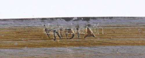 Indiai kétrészes dísztőr, fa tartóban, h: 45 cm