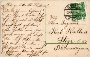 1913 Wien, Vienna, Bécs; Kahlenberg, DDSG "BROOD" paddle steamer tug, steamship (EK)