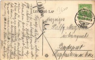 1908 Personendampfer der I. k. k. priv. D. D. S. G. "Carl Ludwig" / Az I. cs. kir. szab. D...