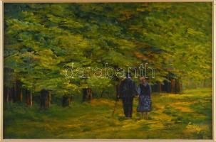 Sziklay Juhos Sándor (?-2024): Ősszel. Olaj, farost, jelzett. Dekoratív keretben. 20×30 cm