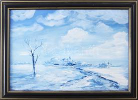 Sziklay Juhos Sándor (?-2024): Alföldi táj télen. Olaj, farost, jelzett. Dekoratív keretben. 21×30 cm