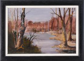 Sziklay Juhos Sándor (?-2024): Ártéri fák. Olaj, farost, jelzett. Dekoratív keretben. 19,5×28,5 cm