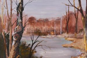 Sziklay Juhos Sándor (?-2024): Ártéri fák. Olaj, farost, jelzett. Dekoratív keretben. 19,5×28,5 cm