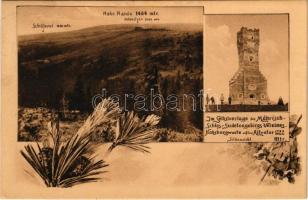 1913 Prudnik, Neustadt OS; Hohe Haide, Schäferei, Südansicht. Gebr. Hillebrandt / view, mountain, lookout tower. Art Nouveau, floral (EK)