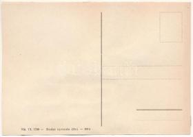 Díjugratás, lovas sport. Bélyegekből kivágott és összeragasztott képeslap. Budai nyomda / Show jumpi...