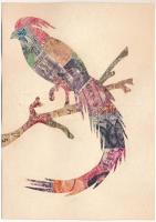 Papagáj. Bélyegekből kivágott és összeragasztott képeslap. Budai nyomda / Parrot. Made out of stamps