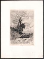 Theophile Narcisse Chauvel (1831-1914 k.): Eső után. Rézkarc, papír, jelzett a karcon. Az 1884-ben m...