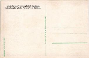 Deák Ferencz termesgőzös Galambócnál. MFTR Művészlevelezőlap 6314-4. Klösz műintézet / Salondampfer ...