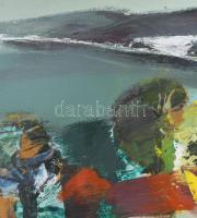 Vásárhelyi Kovács (Kováts) Tibor (1924-1997): Balatoni táj. Olaj, farost, jelzett. Hátoldalán Képcsa...