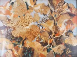 Scholz Erik (1926-1995): Őszi levelek. Olaj, farost, jelezve jobbra lent, hátoldalán Képcsarnok Váll...