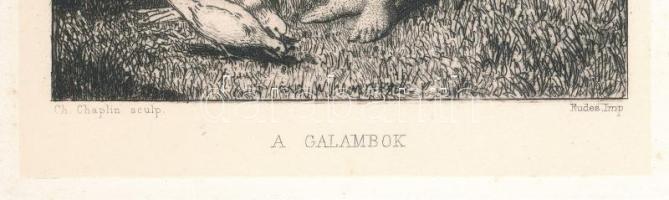Charles Joshua Chaplin (1825-1891): A galambok. Rézkarc, papír, jelzett a karcon. Az 1884-ben megjel...