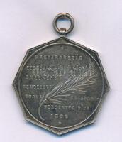 1896. "Magyarország ezeréves fennállása emlékére rendezett torna- és sportversenyek díja" jelzés nélküli Ag sportdíjérem. Szign.: Giovanni Morelli (1816-1891) / Exner Károly (1850-1919) / Scheid. G.A. (Ezüstárú és Éremgyár) (19,80g/40mm) T:XF patina