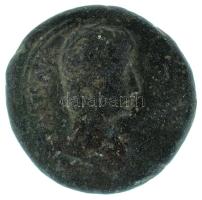 Római Birodalom 014 előtt (Kr.e. 27 - Kr.u. 14) / Augustus / Szíria / AE25 bronz (10,93g) T:VF / Roman Empire 27 BC - 14 AD / Augustus / Syria / AE25 bronze "CAESAR / AVGVSTVS" (10,93g) C:VF RIC I 486, RPC I 4100