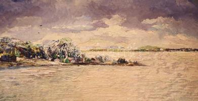 Tihanyi János Lajos (1892-1957): Vízparti élet. Olaj, karton, jelzett. Dekoratív, sérült fakeretben....