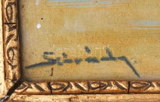 Szórády jelzéssel: Vízparti táj, olaj, vászon. Dekoratív, sérült fakeretben, 50x70 cm