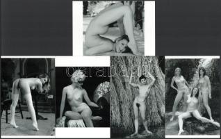 "Öt képen hét modell", eltérő időben készült, szolidan erotikus felvételek, 5 db modern nagyítás, jelzés nélkül, 15x10 cm