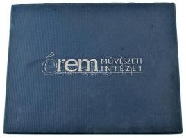 Érmetartó kazetta egy kivehető tálcával, összesen 24db, 50x50mm-es férőhellyel. Használt, de jó állapotban.