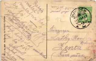 1911 Újvidék, Novi Sad; Festung Peterwardein / Grad Petrovaradin / Pétervárad vára, POLLUX gőzhajó. ...