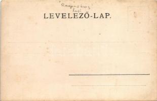 REGENSBURG oldalkerekes gőzhajó a jég fogságába esve a Dunán / REGENSBURG sidewheeler steamship iceb...