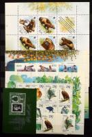 Oroszország modern blokk és kisív tétel másodpéldányokkal, benne kevés szovjet, 8 lapos A/4 berakóban / Russia nice lot of modern blocks and minisheets including a few Sovietunion in A/4 stockbook