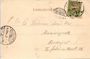 1903 Szolnok, Tisza híd, Móricz-liget, SIRÁLY csavaros vontató gőzhajó. Ragács Gyula felvétele / SIR...