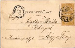 1901 Budapest, Gellérthegy. SÓLYOM ingahajó. Fénynyomat Divald műintézetéből / Sólyom was requisitio...