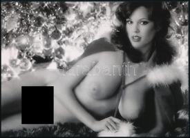 cca 1980 "A Mikulás ajándéka", szolidan erotikus felvétel, 1 db modern nagyítás, jelzés nélkül, 15x21 cm