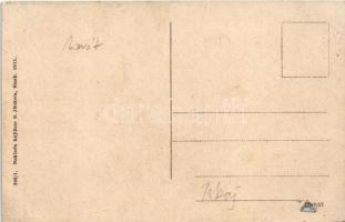 Sziszek, Sisak; Stari grad / vár, TOKAJ oldalkerekes gőzhajó / "TOKAJ" Hungarian sidewheel...