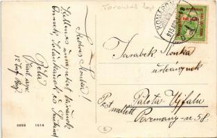 1915 Komárom, Komárno; Duna részlet, "TORONTÁL" oldalkerekes vontató gőzhajó, lebontott ke...