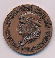 Soltra E. Tamás 2016. "István Bíró Civil Díj" kétoldalas bronz emlékérem (60mm) T:UNC