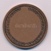 Soltra E. Tamás 2016. "István Bíró Civil Díj" kétoldalas bronz emlékérem (60mm) T:UNC