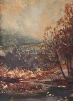 Edvi Illés Ödön (1877-1945): Őszi borulás. Olaj, karton, jelzett. Felületi sérülésekkel. Hátoldalán ...