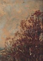 Edvi Illés Ödön (1877-1945): Őszi borulás. Olaj, karton, jelzett. Felületi sérülésekkel. Hátoldalán ...