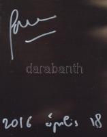 2016 Nemes Jeles László (1977- ) Kossuth-díjas filmrendező, az Oscar- és Golden Globe-díjas Saul fia...